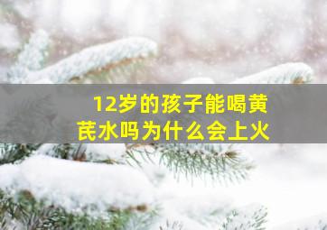 12岁的孩子能喝黄芪水吗为什么会上火