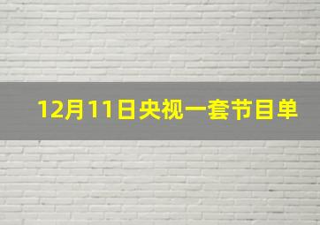 12月11日央视一套节目单