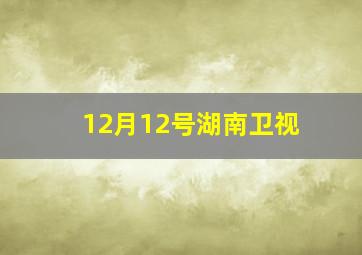 12月12号湖南卫视