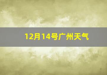 12月14号广州天气