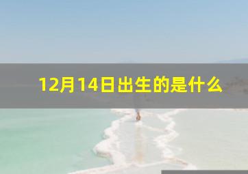 12月14日出生的是什么