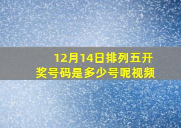 12月14日排列五开奖号码是多少号呢视频