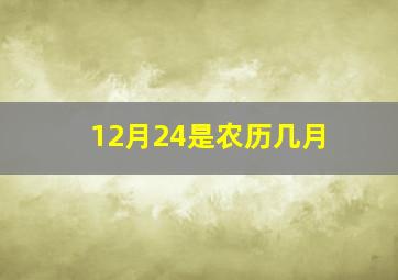 12月24是农历几月