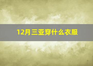 12月三亚穿什么衣服