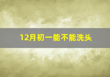 12月初一能不能洗头