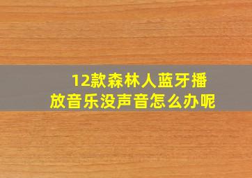 12款森林人蓝牙播放音乐没声音怎么办呢