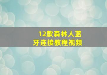 12款森林人蓝牙连接教程视频