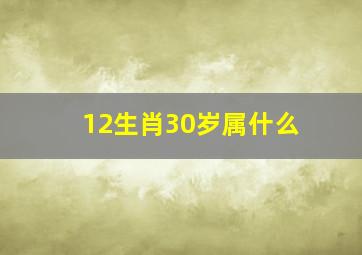 12生肖30岁属什么