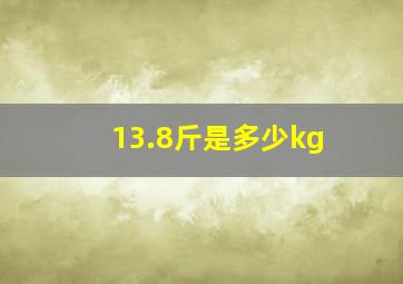 13.8斤是多少kg