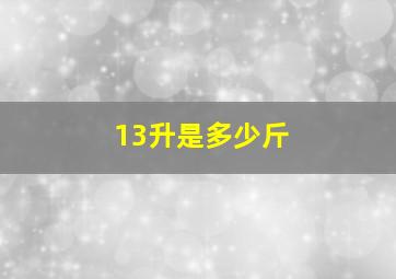 13升是多少斤