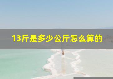 13斤是多少公斤怎么算的