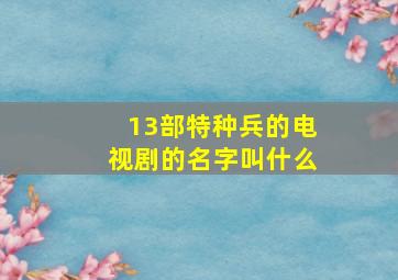 13部特种兵的电视剧的名字叫什么