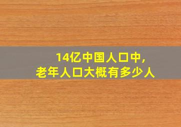 14亿中国人口中,老年人口大概有多少人