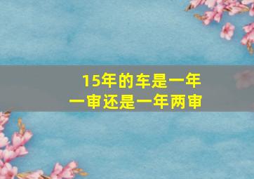 15年的车是一年一审还是一年两审