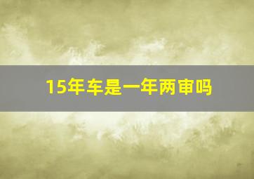 15年车是一年两审吗