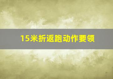 15米折返跑动作要领