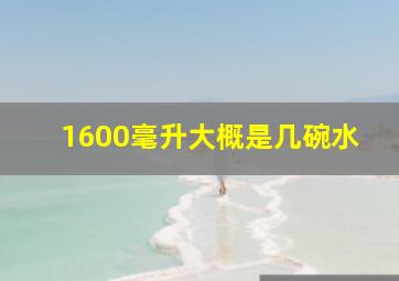 1600毫升大概是几碗水