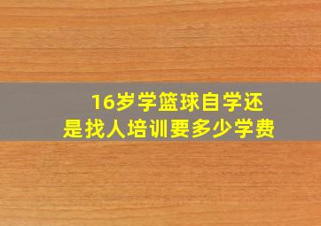 16岁学篮球自学还是找人培训要多少学费