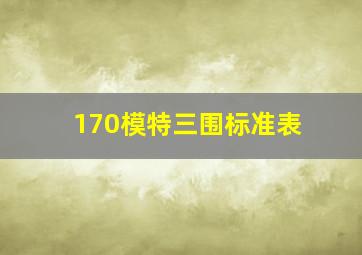 170模特三围标准表