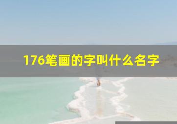 176笔画的字叫什么名字