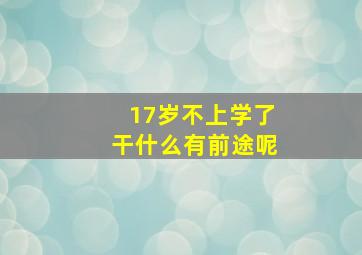 17岁不上学了干什么有前途呢