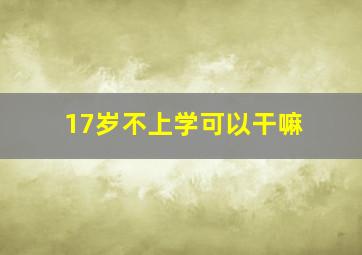 17岁不上学可以干嘛