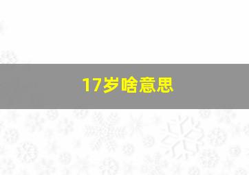 17岁啥意思