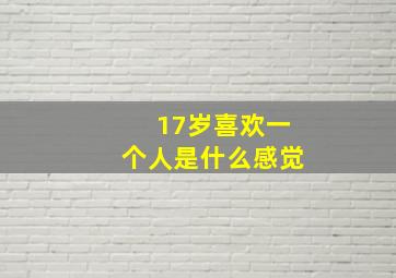 17岁喜欢一个人是什么感觉