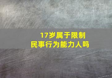 17岁属于限制民事行为能力人吗