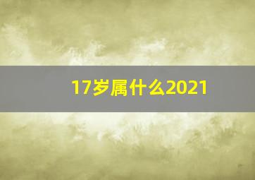 17岁属什么2021