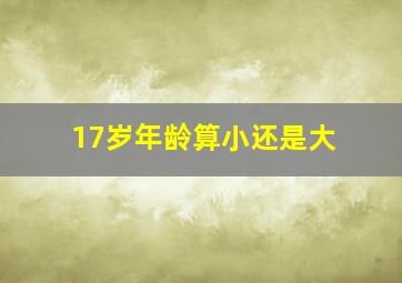 17岁年龄算小还是大