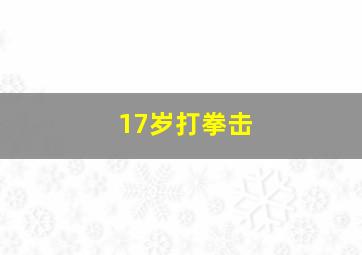 17岁打拳击