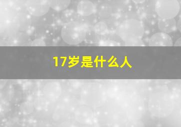 17岁是什么人