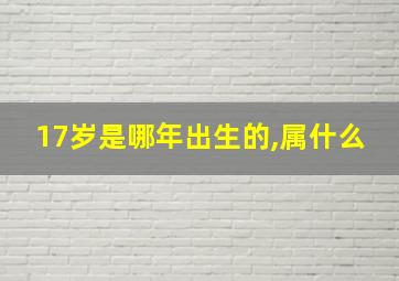 17岁是哪年出生的,属什么