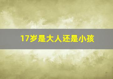 17岁是大人还是小孩