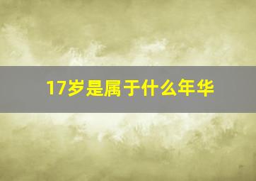 17岁是属于什么年华