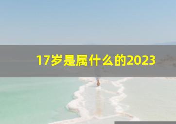 17岁是属什么的2023