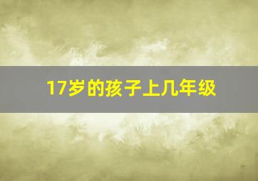 17岁的孩子上几年级