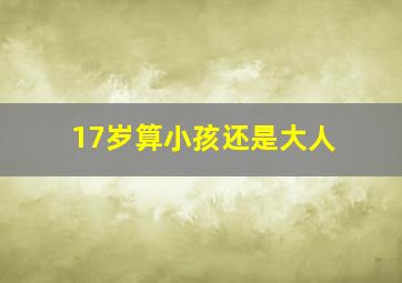 17岁算小孩还是大人