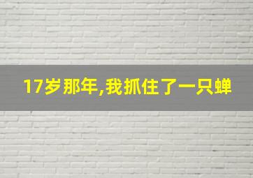 17岁那年,我抓住了一只蝉