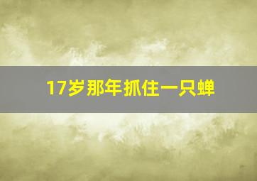 17岁那年抓住一只蝉