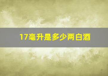 17毫升是多少两白酒