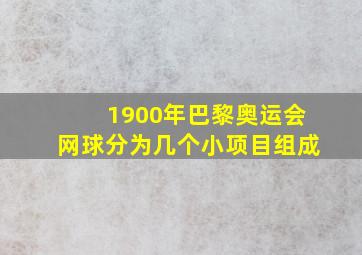 1900年巴黎奥运会网球分为几个小项目组成