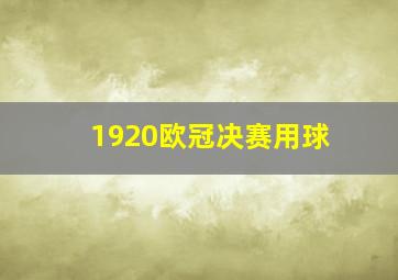 1920欧冠决赛用球