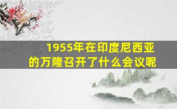 1955年在印度尼西亚的万隆召开了什么会议呢