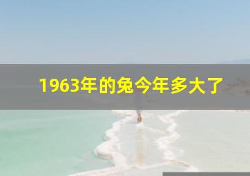 1963年的兔今年多大了