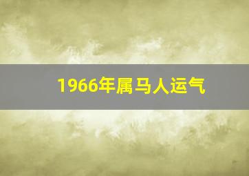 1966年属马人运气