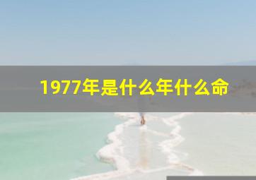 1977年是什么年什么命