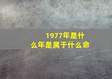 1977年是什么年是属于什么命