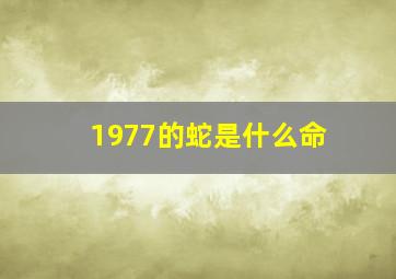 1977的蛇是什么命